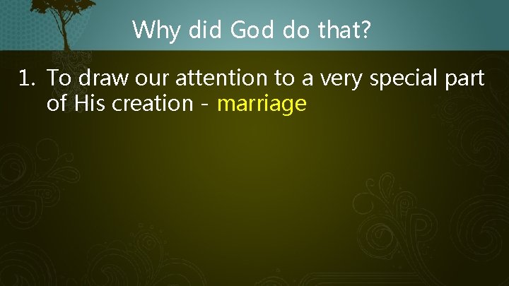 Why did God do that? 1. To draw our attention to a very special