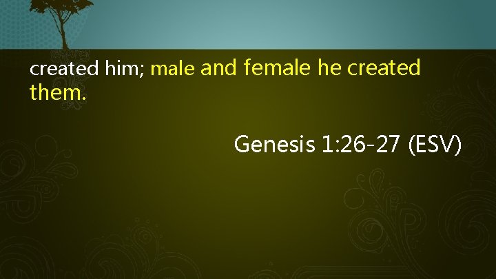 created him; male and female he created them. Genesis 1: 26 -27 (ESV) 