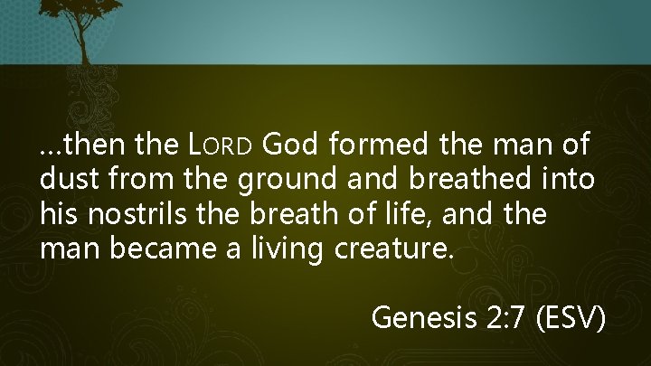 …then the LORD God formed the man of dust from the ground and breathed