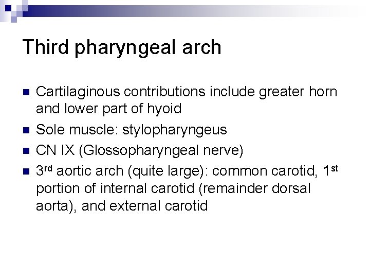 Third pharyngeal arch n n Cartilaginous contributions include greater horn and lower part of