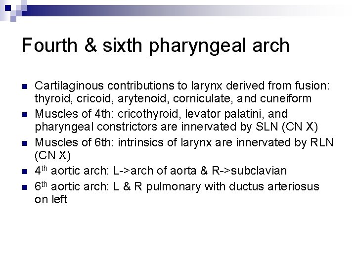 Fourth & sixth pharyngeal arch n n n Cartilaginous contributions to larynx derived from