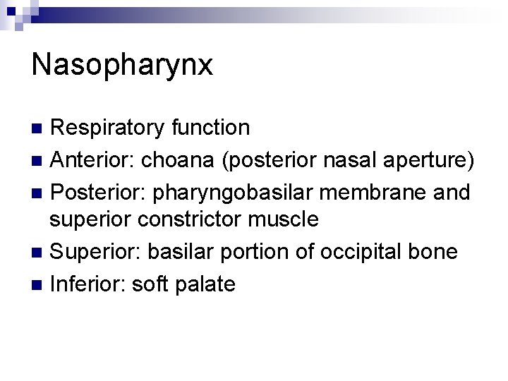Nasopharynx Respiratory function n Anterior: choana (posterior nasal aperture) n Posterior: pharyngobasilar membrane and