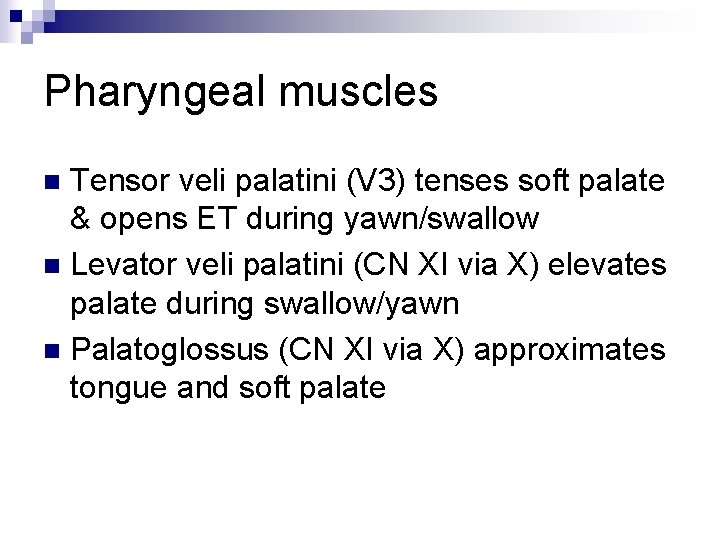 Pharyngeal muscles Tensor veli palatini (V 3) tenses soft palate & opens ET during