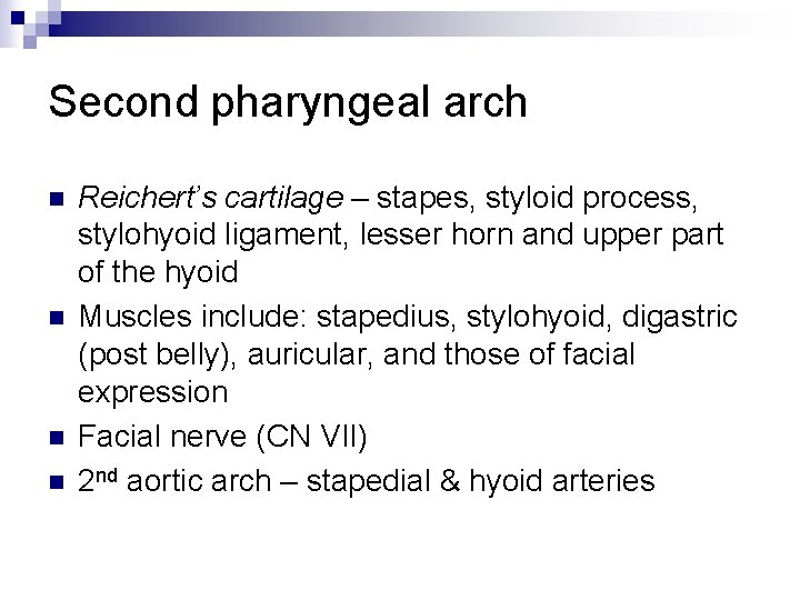 Second pharyngeal arch n n Reichert’s cartilage – stapes, styloid process, stylohyoid ligament, lesser