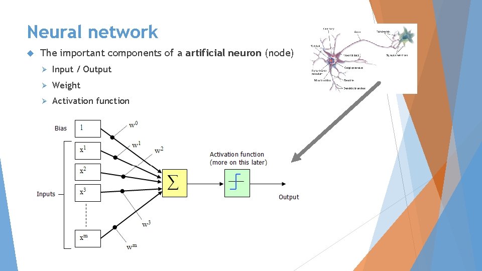 Neural network The important components of a artificial neuron (node) Ø Input / Output