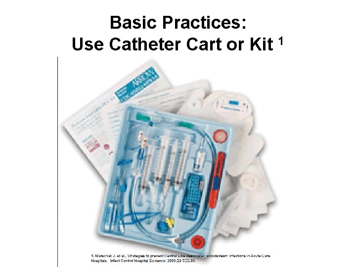 Impact of Primary BSI Pathophysiology of Catheter Related