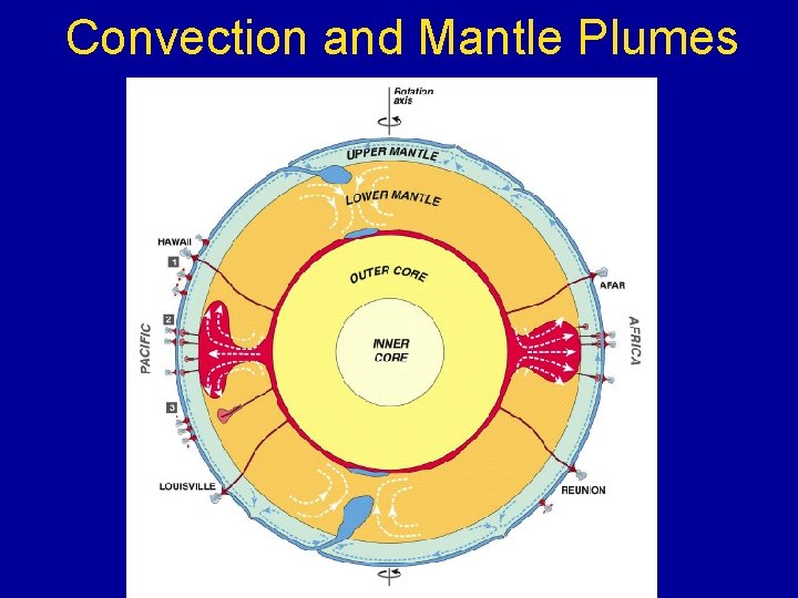 Convection and Mantle Plumes 
