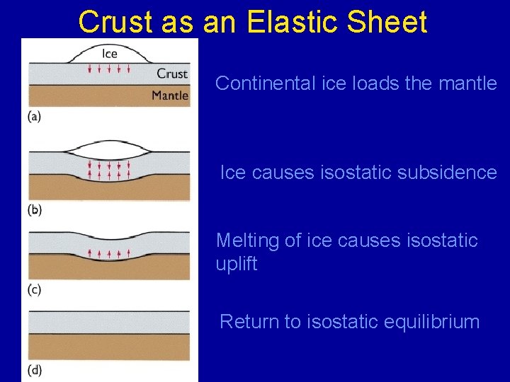 Crust as an Elastic Sheet Continental ice loads the mantle Ice causes isostatic subsidence