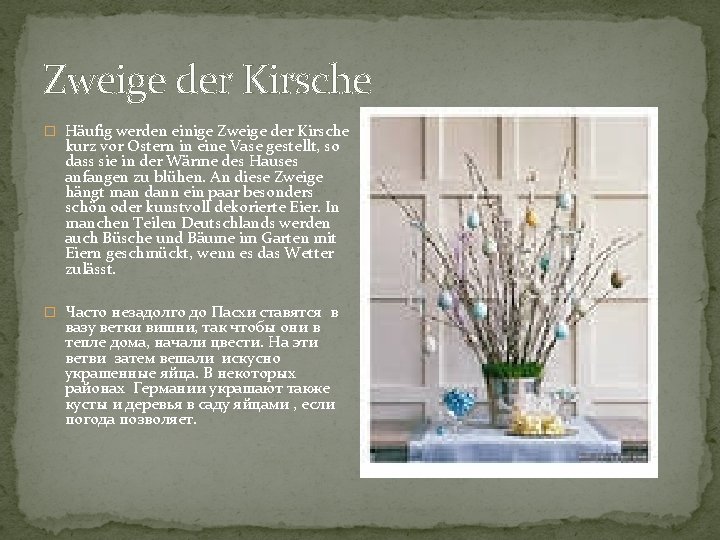 Zweige der Kirsche � Häufig werden einige Zweige der Kirsche kurz vor Ostern in