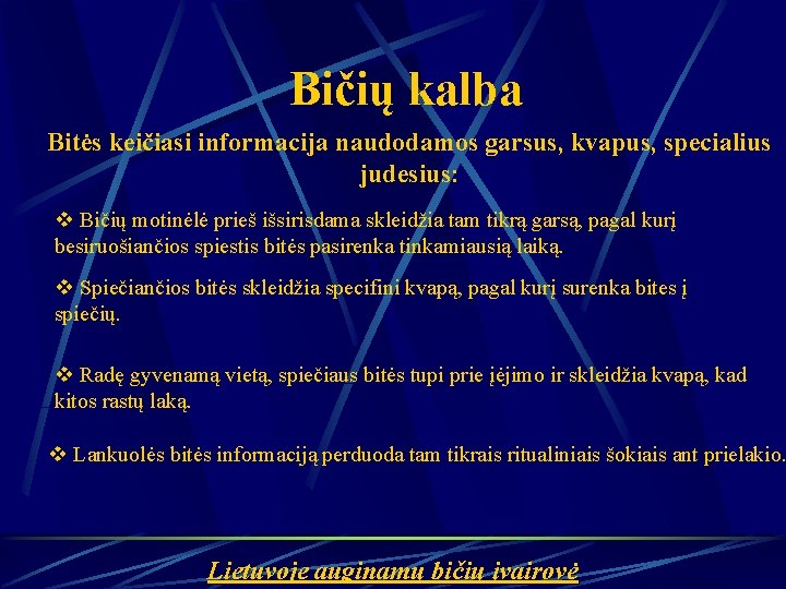 Bičių kalba Bitės keičiasi informacija naudodamos garsus, kvapus, specialius judesius: v Bičių motinėlė prieš