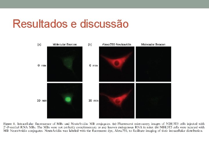 Resultados e discussão 