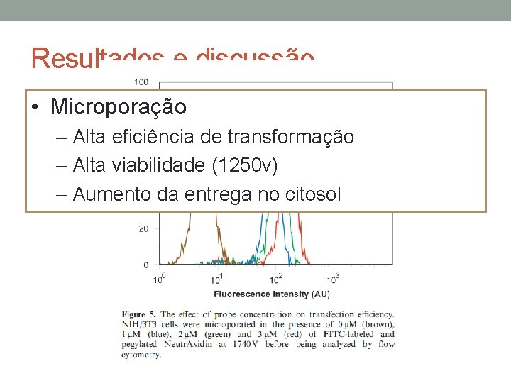 Resultados e discussão • Microporação – Alta eficiência de transformação – Alta viabilidade (1250