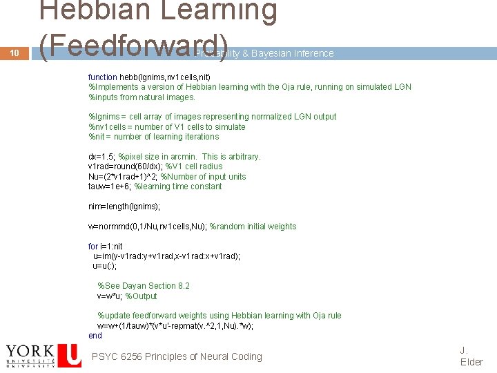 10 Hebbian Learning (Feedforward) Probability & Bayesian Inference function hebb(lgnims, nv 1 cells, nit)