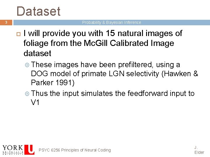Dataset Probability & Bayesian Inference 3 I will provide you with 15 natural images