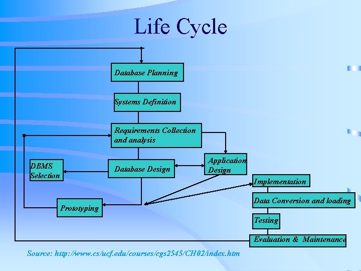 Life Cycle Database Planning Systems Definition Requirements Collection and analysis DBMS Selection Database Design