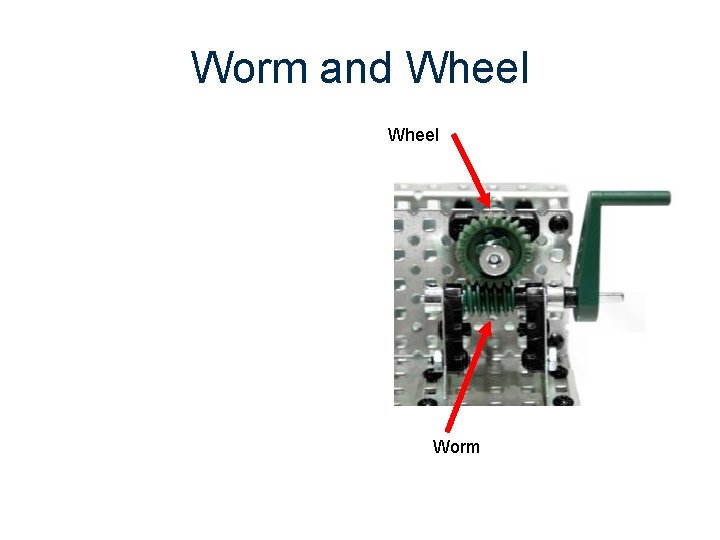 Worm and Wheel Worm 