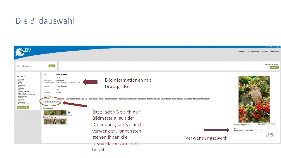 Die Bildauswahl Bildinformationen mit Druckgröße Bitte laden Sie sich nur Bildmaterial aus der Datenbank,