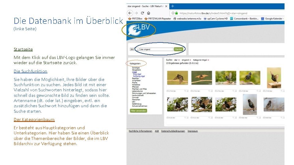 Die Datenbank im Überblick (linke Seite) Startseite Mit dem Klick auf das LBV-Logo gelangen