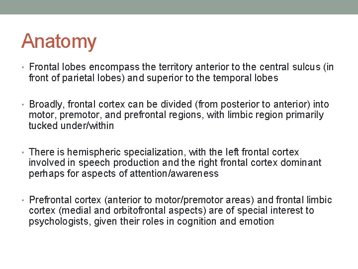 Anatomy • Frontal lobes encompass the territory anterior to the central sulcus (in front