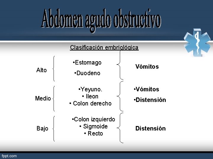 Clasificación embriológica • Estomago Alto Medio Bajo • Duodeno • Yeyuno. • Ileon •