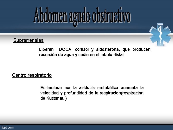 Suprarrenales Liberan DOCA, cortisol y aldosterona, que producen resorción de agua y sodio en