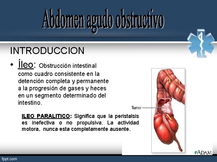 INTRODUCCION • Íleo: Obstrucción intestinal como cuadro consistente en la detención completa y permanente