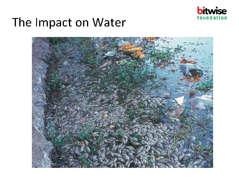 The Impact on Water 
