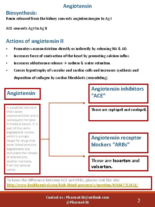 Angiotensin Biosynthesis: Renin released from the kidney converts angiotensinogen to Ag I ACE converts