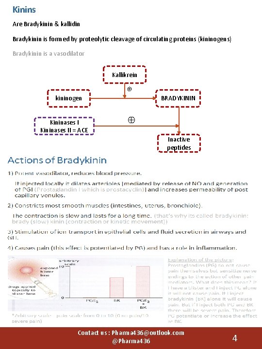 Kinins Are Bradykinin & kallidin Bradykinin is formed by proteolytic cleavage of circulating proteins