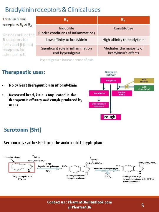 Therapeutic uses: • No current therapeutic use of bradykinin • Increased bradykinin is implicated