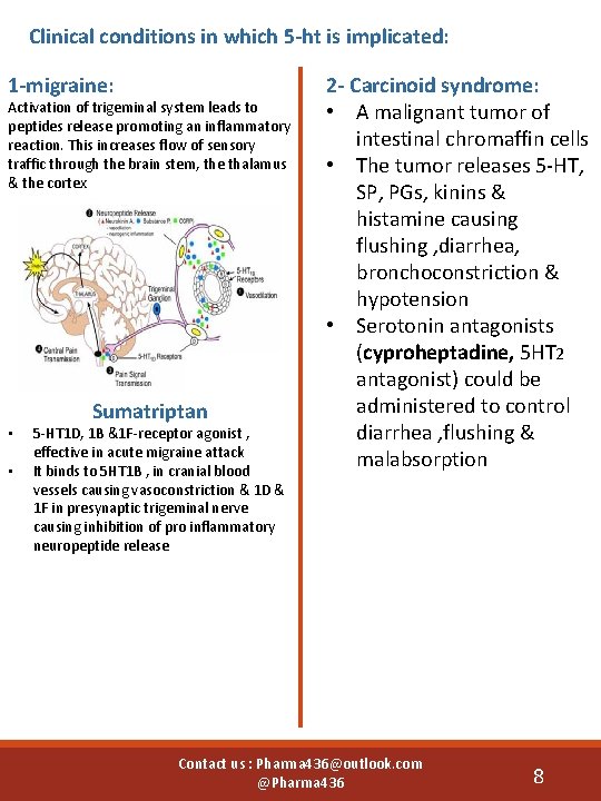 Clinical conditions in which 5 -ht is implicated: 1 -migraine: Activation of trigeminal system