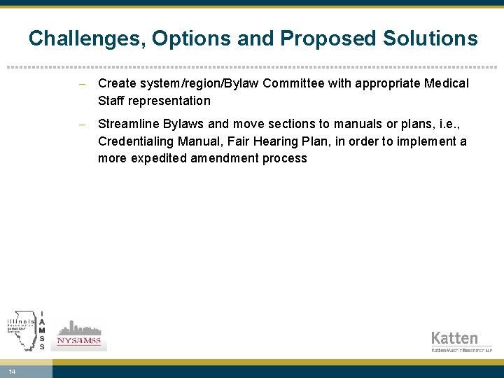 Challenges, Options and Proposed Solutions - Create system/region/Bylaw Committee with appropriate Medical Staff representation
