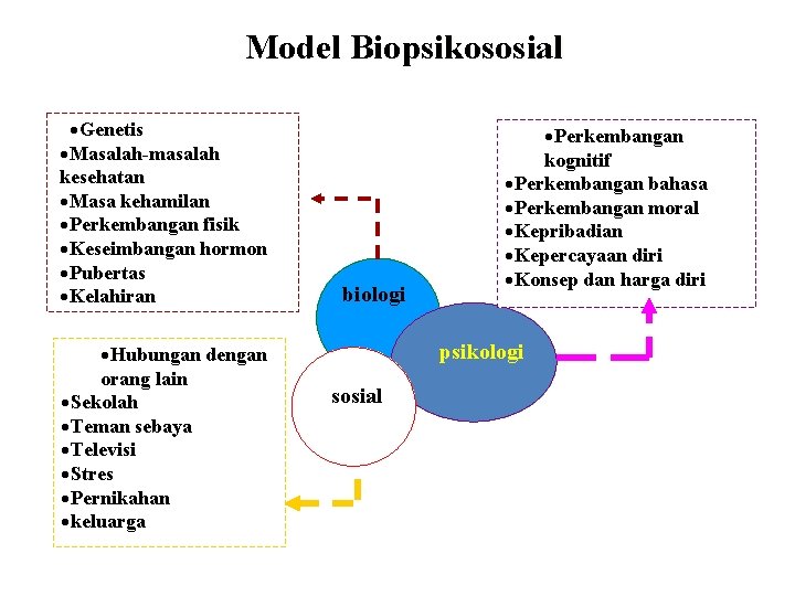 Model Biopsikososial ·Genetis ·Masalah-masalah kesehatan ·Masa kehamilan ·Perkembangan fisik ·Keseimbangan hormon ·Pubertas ·Kelahiran ·Hubungan