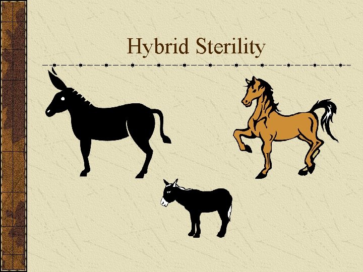 Hybrid Sterility 