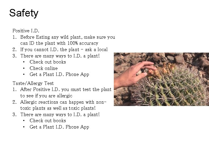 Safety Positive I. D. 1. Before Eating any wild plant, make sure you can