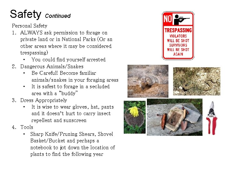 Safety Continued Personal Safety 1. ALWAYS ask permission to forage on private land or