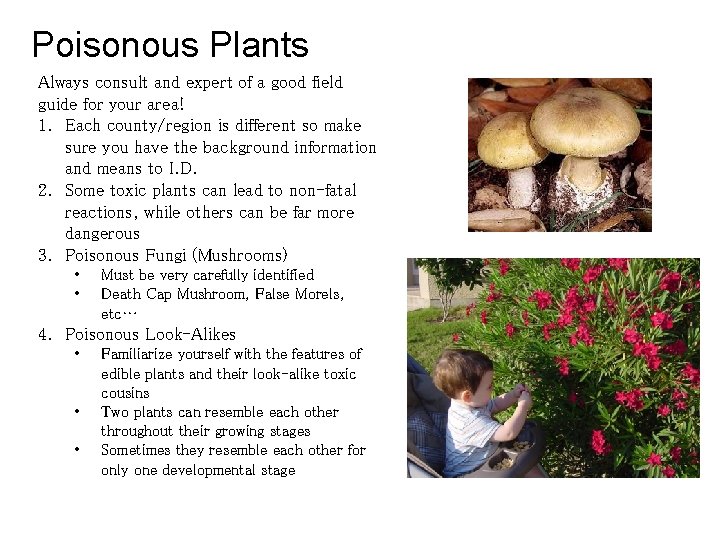 Poisonous Plants Always consult and expert of a good field guide for your area!