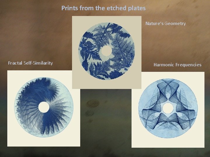 Prints from the etched plates Nature’s Geometry Fractal Self-Similarity Harmonic Frequencies 