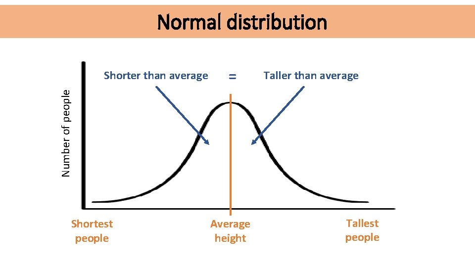 Normal distribution = Taller than average Number of people Shorter than average Shortest people Normal distribution = Taller than average Number of people Shorter than average Shortest people