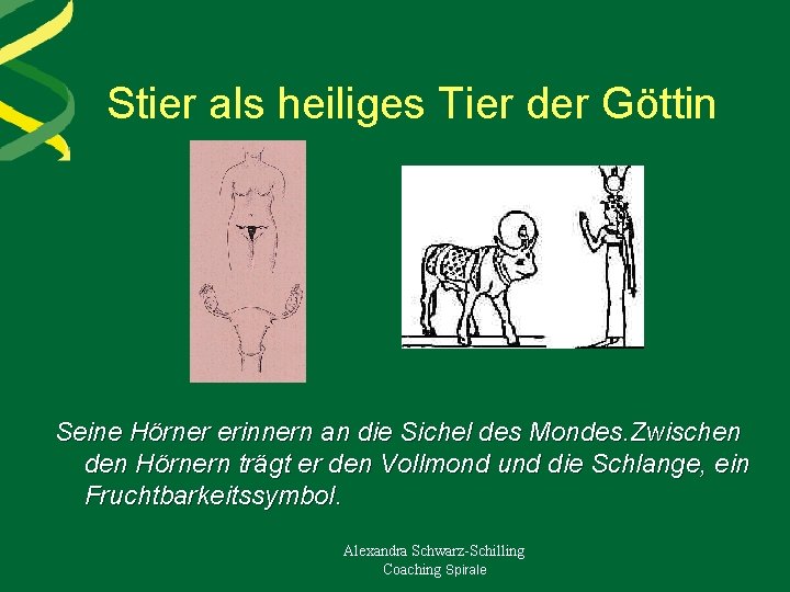 Stier als heiliges Tier der Göttin Seine Hörner erinnern an die Sichel des Mondes.