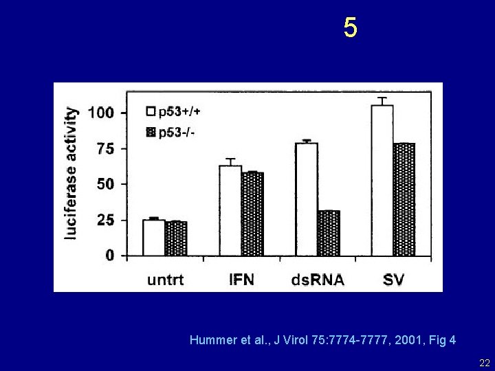 5 Hummer et al. , J Virol 75: 7774 -7777, 2001, Fig 4 22