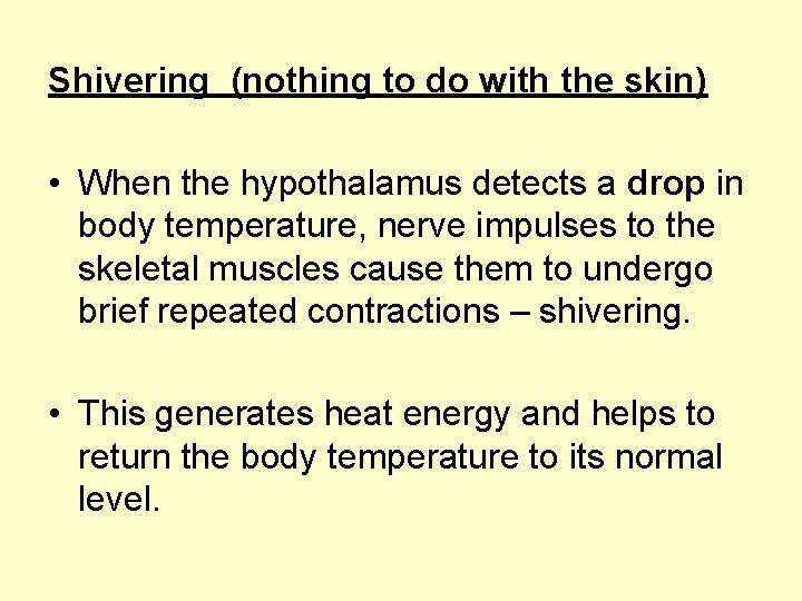 Shivering (nothing to do with the skin) • When the hypothalamus detects a drop