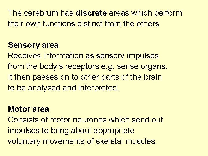 The cerebrum has discrete areas which perform their own functions distinct from the others