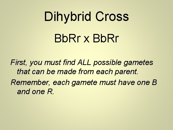 Dihybrid Cross Bb. Rr x Bb. Rr First, you must find ALL possible gametes