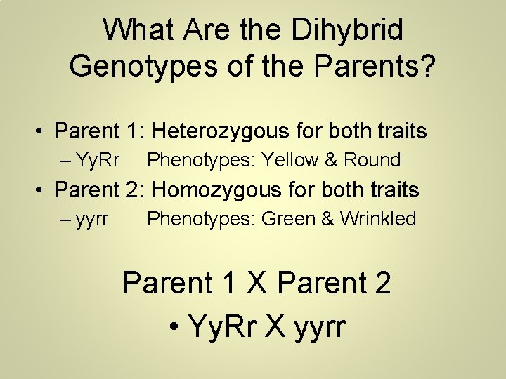 What Are the Dihybrid Genotypes of the Parents? • Parent 1: Heterozygous for both