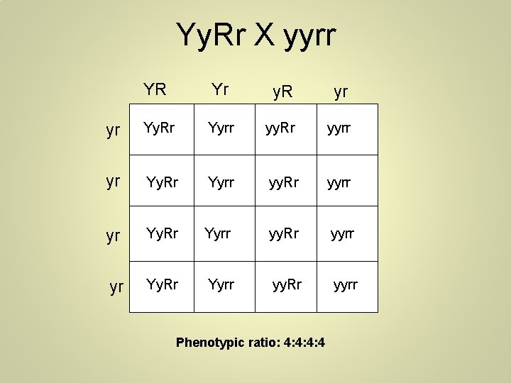 Yy. Rr X yyrr YR Yr y. R yr yr Yy. Rr Yyrr yy.