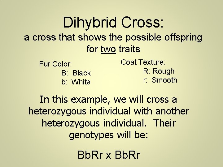 Dihybrid Cross: a cross that shows the possible offspring for two traits Fur Color: