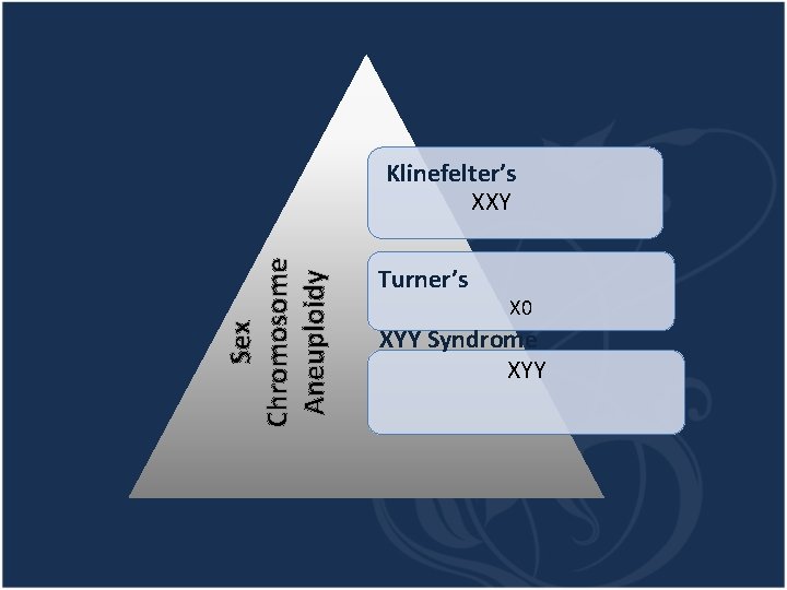 Sex Chromosome Aneuploidy Klinefelter’s XXY Turner’s X 0 XYY Syndrome XYY 