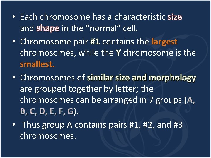  • Each chromosome has a characteristic size and shape in the “normal” cell.