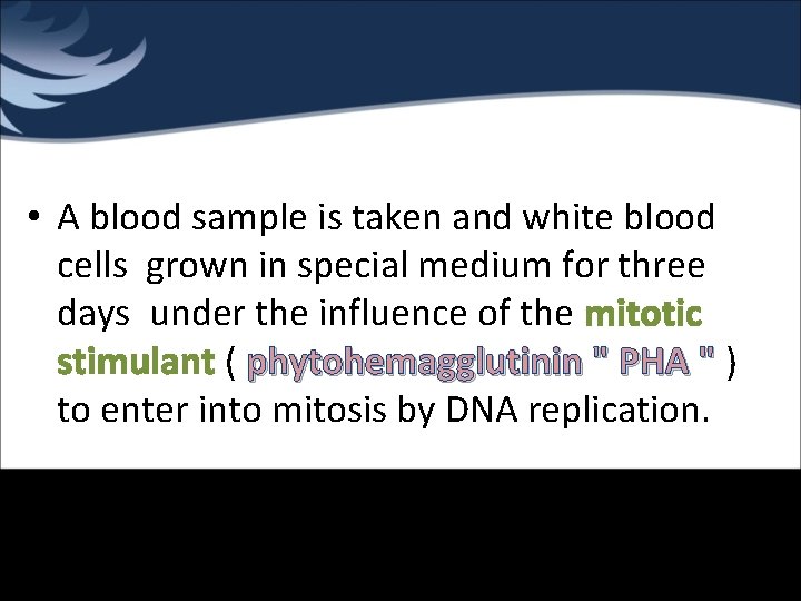  • A blood sample is taken and white blood cells grown in special